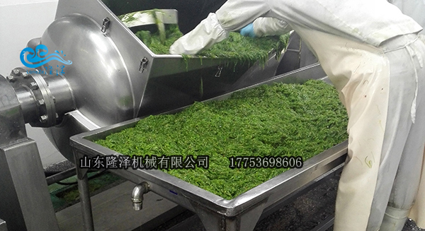 涼菜調料攪拌機